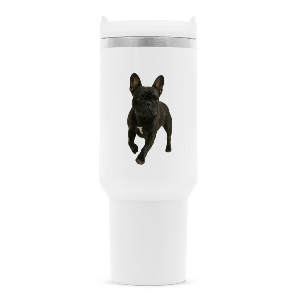 Französiche Bulldoggen